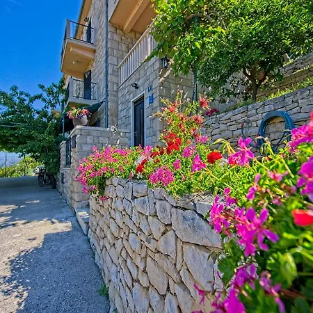 Apartment Neppa